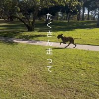 リバくんが2歳になるまで8