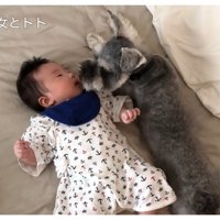 長女ちゃんが赤ちゃんの時の光景