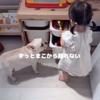 まこちゃんにピッタリ