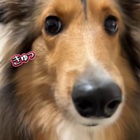 「ヤバいっ、バレた…」