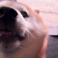 お姉ちゃんが乗っていた！