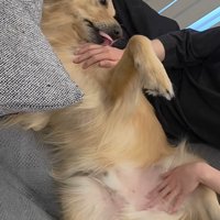 markくんとお兄ちゃんの再会9