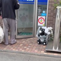 入口でくるりと方向転換する犬