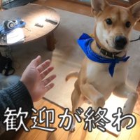 朝、お父さんが起きたら大歓迎！