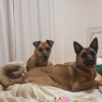 モアちゃん＆ララちゃん