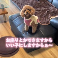 渾身のおすわり