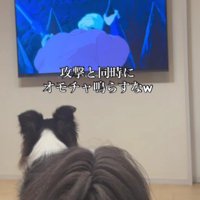 『もののけ姫』を観ていたら