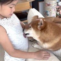 服をペロペロ舐めて愛情表現