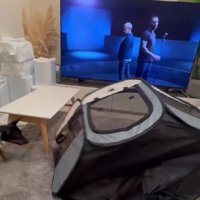 愛犬が迷惑かけてる…？