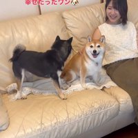 お姉ちゃん帰省時の小春ちゃん＆小太郎くん