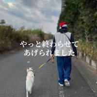 保護スタッフと散歩する犬
