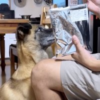 雷のこと、忘れてます