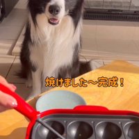 オリジナルおやつの日