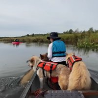 いい思い出が出来たね