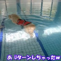 「怖いよ～っ」とUターン