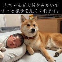 優しく寄り添ってくれるむぎくん