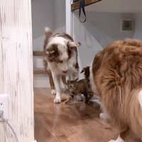 たまちゃんにベッタリ…♡