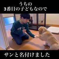お兄ちゃんとおての練習をする犬