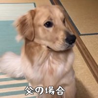 パパがベンツくんにおやつを与えると…