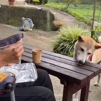 穏やかな時間が流れる