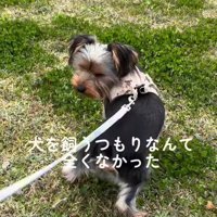 飼うつもりはなかったけれど…
