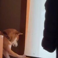 リクくんにハプニング発生8