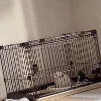 可愛すぎます…！