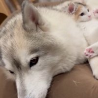 重めの愛を受け止めます♡