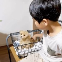 愛情たっぷりに育てられました