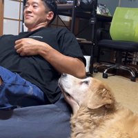 きんちゃんと飼い主さんのやり取り3