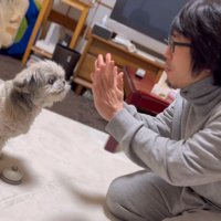 「終わり」と伝えると…