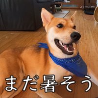 暑そうなので、うちわであおいだら…