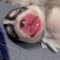 困惑してしまったのが…