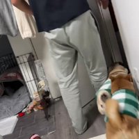 元気いっぱいな2匹でした