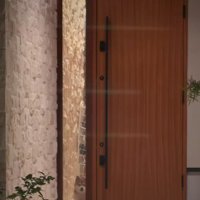 こちらを見つめている…