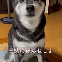 寝んねを誘うママ