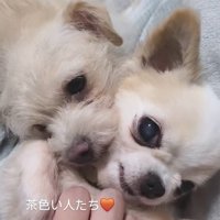 たねちゃん＆まるちゃん