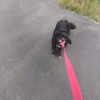 家族を守っていたのかも…