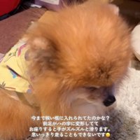 前足が変形していたうにくん