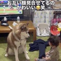 「仲良くしてるよね〜」