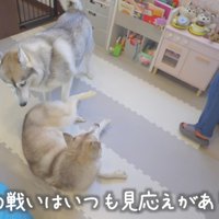 再びワンプロが始まった