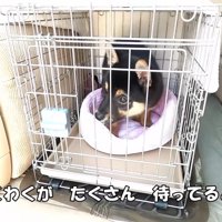 幸せになってね
