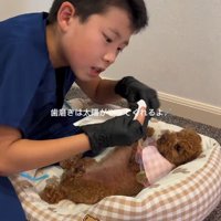 歯磨きも欠かしません