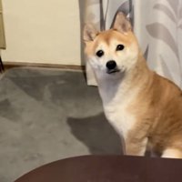 「ストーブ、つけよ…？」