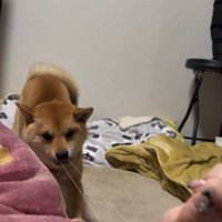 輪ゴムを引っ張るそら君
