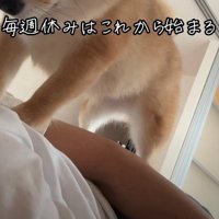 夫婦を起こすのは…