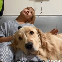 膝枕される麹くん