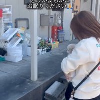家に挨拶する女性と犬