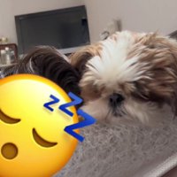 そっと寄り添って…