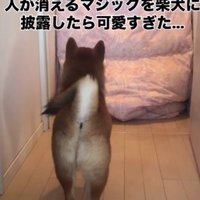 マジックを披露